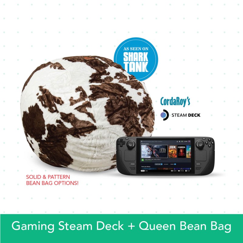 Gaming Steam Deck + Queen Bean Bag
